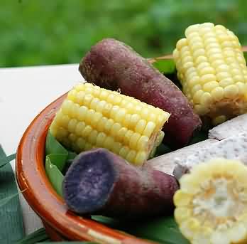<a href='http://www.99-jk.com/html/ys/index.html'><u>ʳ</u></a>뽡ä