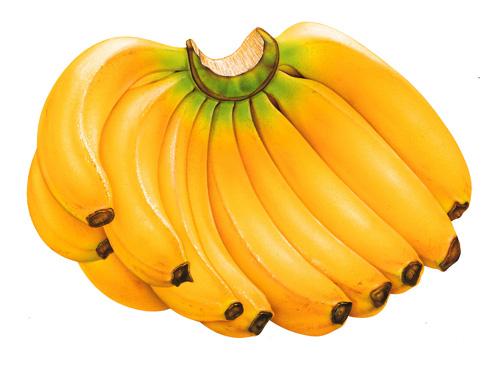 晨跑前吃香蕉起<a href='http://www.99-jk.com/html/jf/index.html'><u>减肥</u></a>作用(图1)