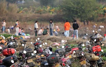600岁藕塘产奇藕 千人徒手抢挖(组图)